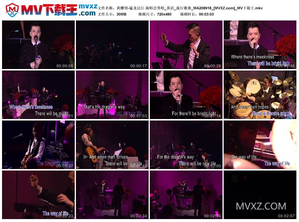 黄耀明-猛龙过江 演唱会男唱_英语_流行歌曲_MA208918